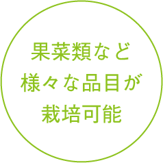 果菜類など様々な品目が栽培可能